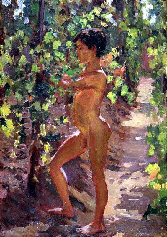Study for Boys picking grapes at Capri, Carleton E.Watkins